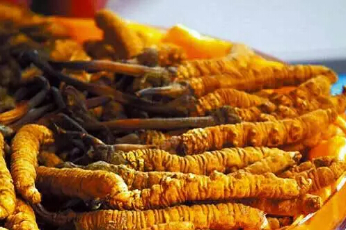 圖片關鍵詞 圖片關鍵詞