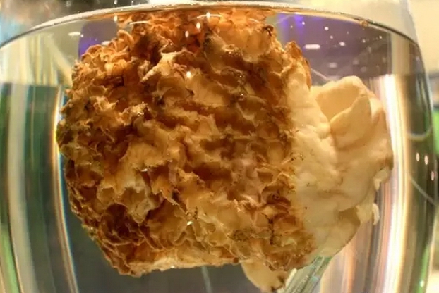 圖片關鍵詞 圖片關鍵詞