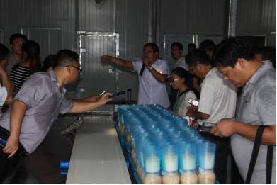 圖片關鍵詞 圖片3