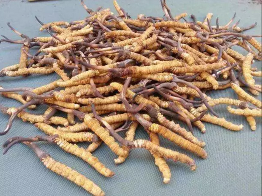 圖片關鍵詞 圖片關鍵詞