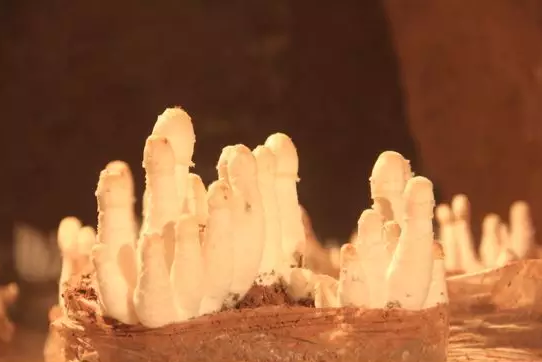 圖片關鍵詞 圖片關鍵詞