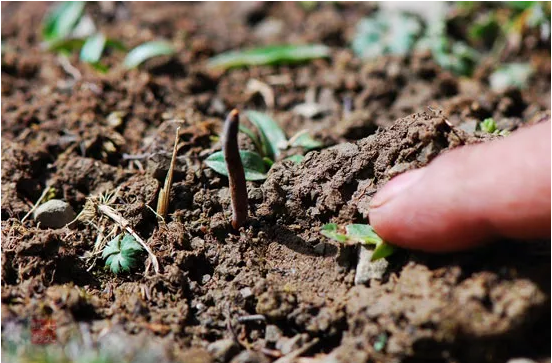 圖片關鍵詞 http://www.58hz.cn/ewebeditor/uploadfile/20180921101313325001.png