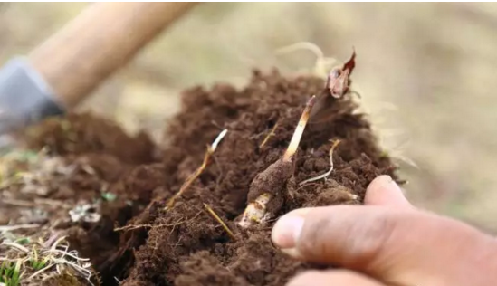 圖片關鍵詞 http://www.58hz.cn/ewebeditor/uploadfile/20180921101228689001.png