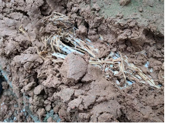 圖片關鍵詞 圖片關鍵詞