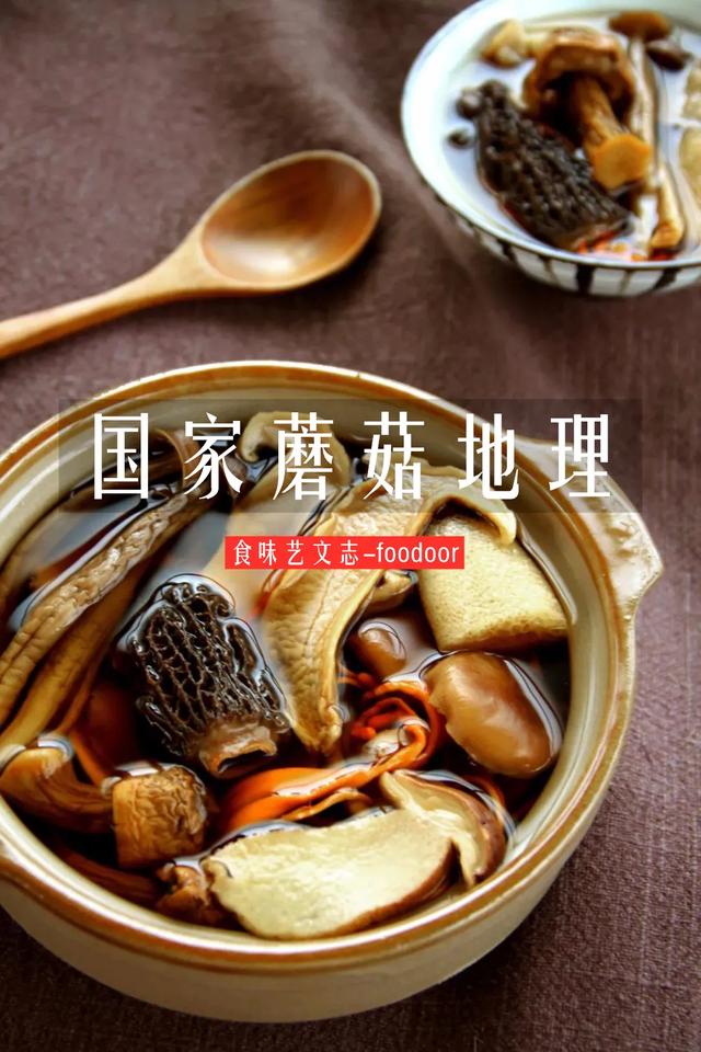 國(guó)家蘑菇地理：中國(guó)哪里的蘑菇最好吃？