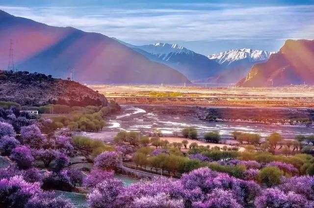 國(guó)家蘑菇地理：中國(guó)哪里的蘑菇最好吃？