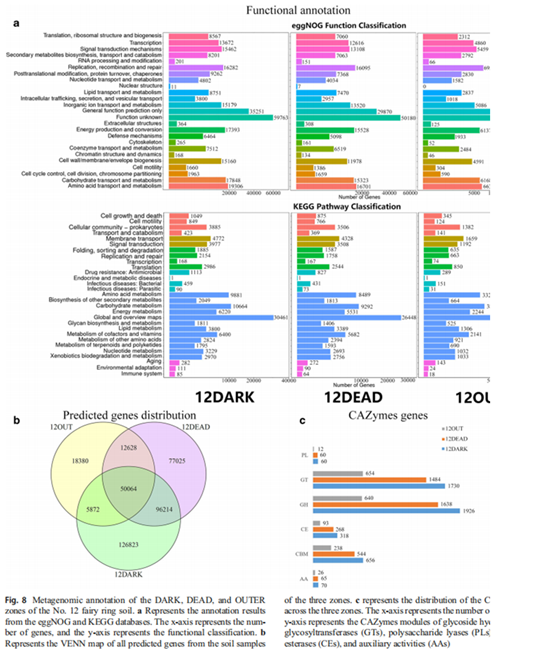 圖片關鍵詞 圖片關鍵詞