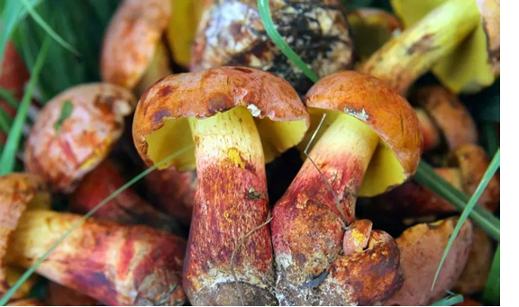 圖片關(guān)鍵詞 圖片關(guān)鍵詞