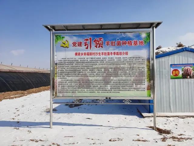 圖片關(guān)鍵詞 https://mmbiz.qpic.cn/mmbiz_jpg/qmUUOFzKOySicbjjG0D3GtIeiamkVc4vX0iaxjHEibDhAd9H87m0SrFXm3O9BknpeNQLpGkUOPz7RrXq00GUUibeuGA/640?wx_fmt=jpeg