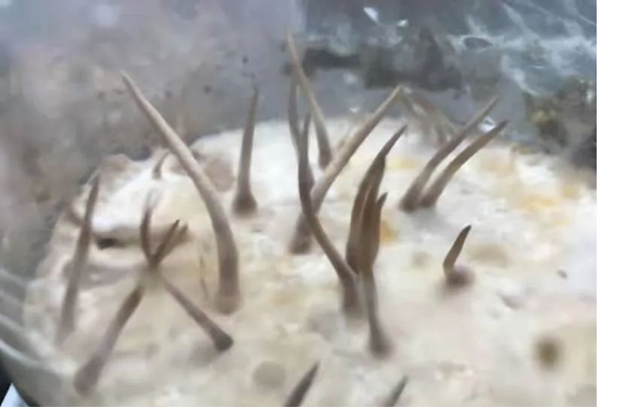 圖片關鍵詞 圖片關鍵詞