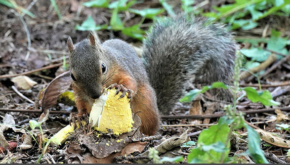 圖片關鍵詞 https://mmbiz.qpic.cn/sz_mmbiz_png/AzVKB4NHLf8ib1H6ojpAHpviaicV81cRUKbIKTVZW8nGJtXiaicQEuUO9AFic1928wQDVibGZwkALag4aibzwzut5ELQBQ/640?wx_fmt=png