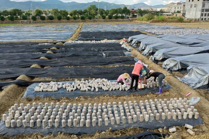 圖片關(guān)鍵詞 圖片關(guān)鍵詞