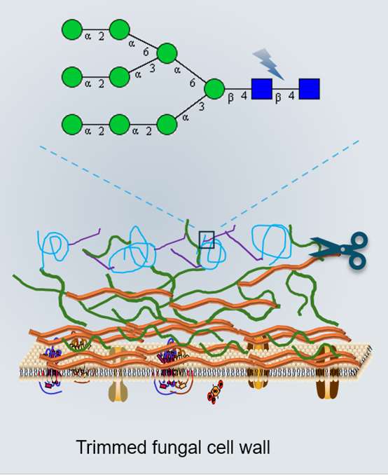 圖片關鍵詞 圖片關鍵詞