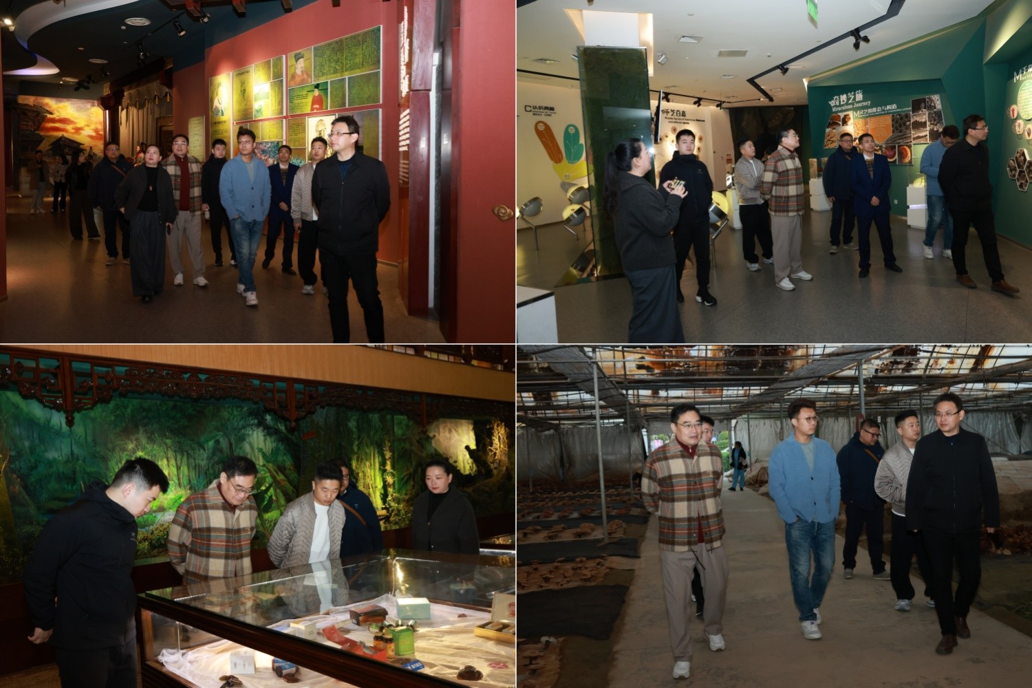 圖片關(guān)鍵詞